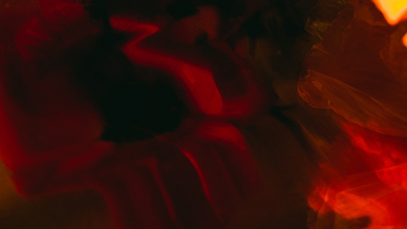 Lipotropic MIC plus B12 promotes liver health