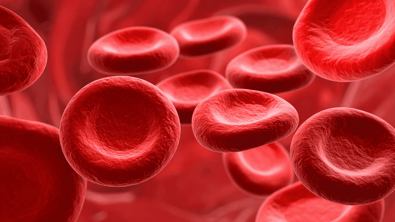 Tirzepatide improves metabolic balance and blood sugar regulation